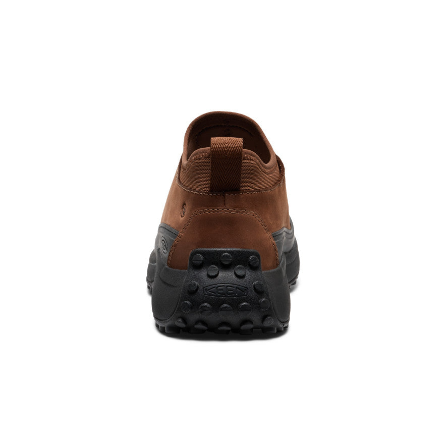Bison/Bison