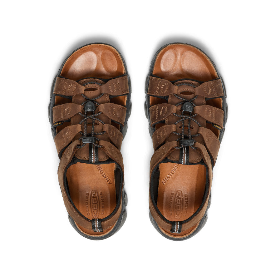 Bison/Black