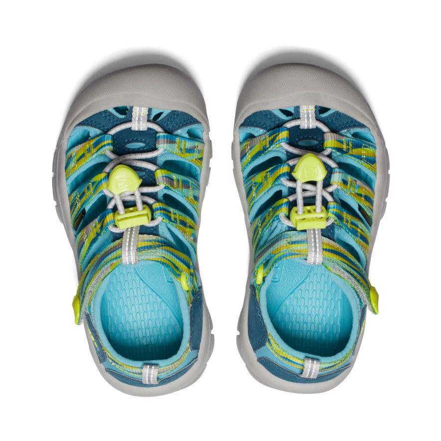 Legion Blue/Evening Primrose