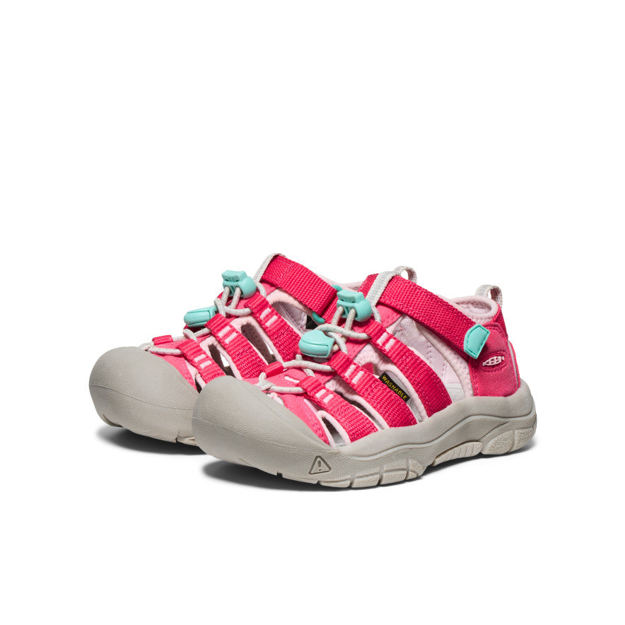 Raspberry/Giggle Pink