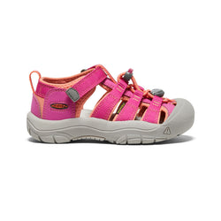 Very Berry / Fusion Coral