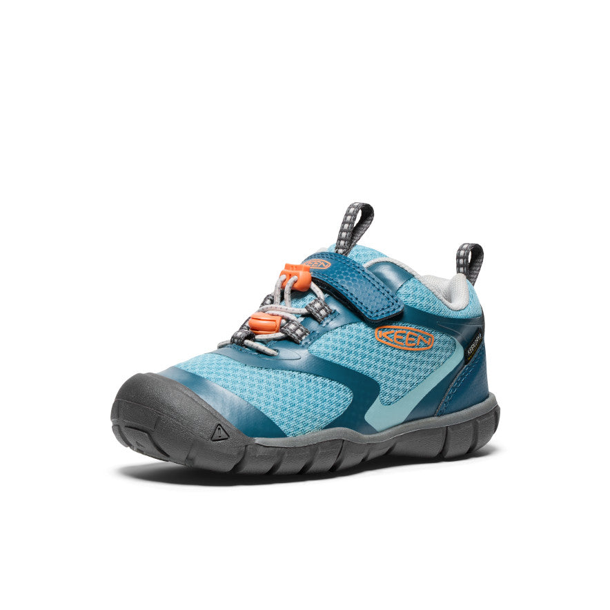 Legion Blue/Nectarine