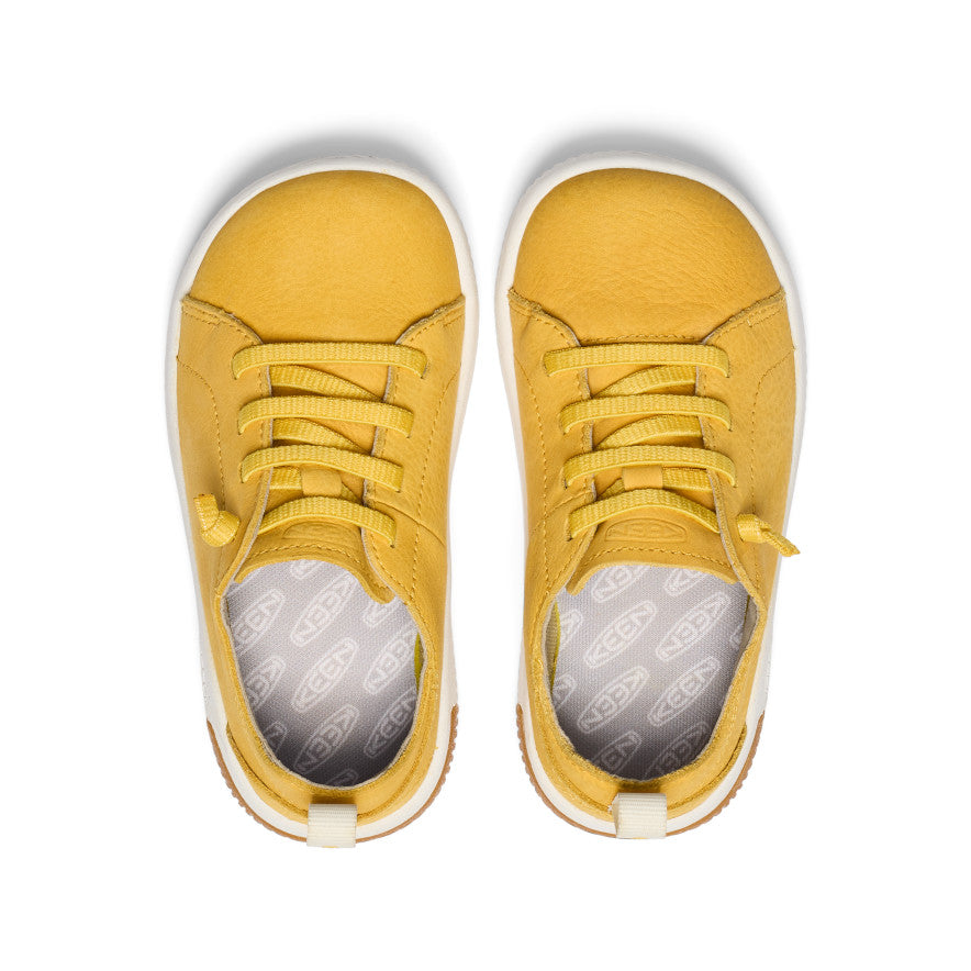 Daffodil/Star White