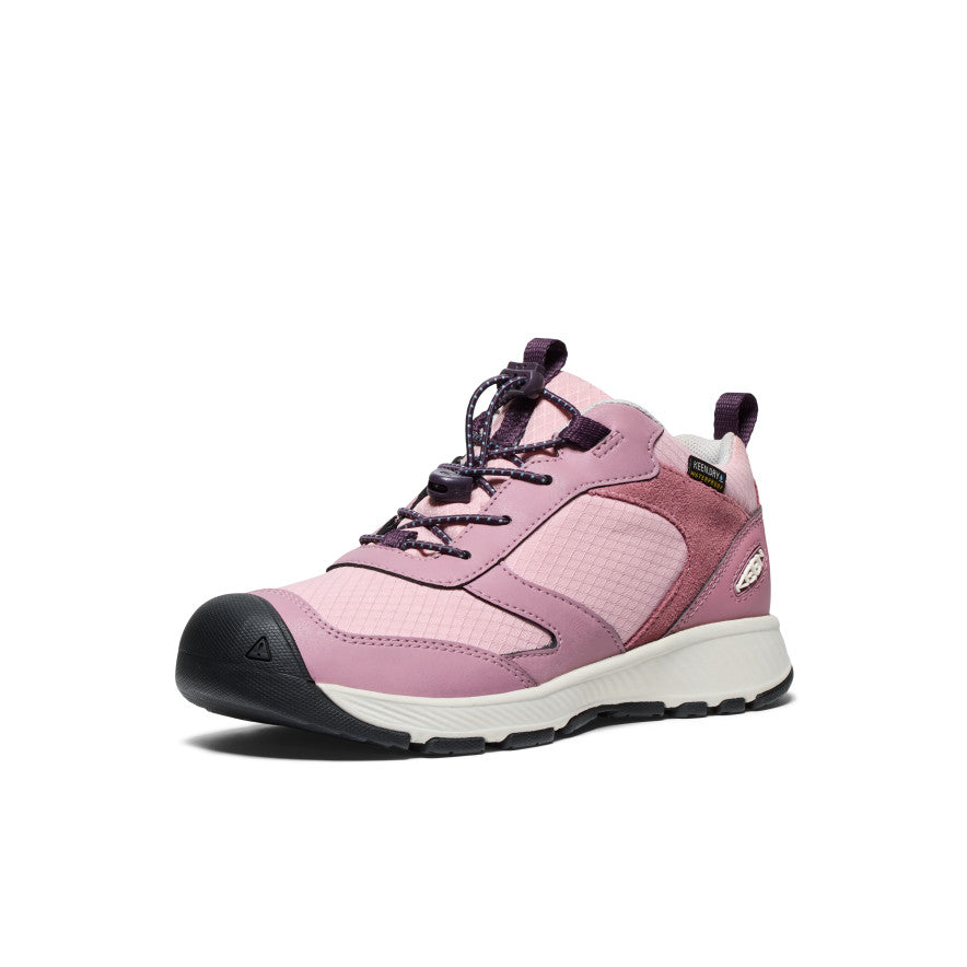 Zephyr/Plum Perfect