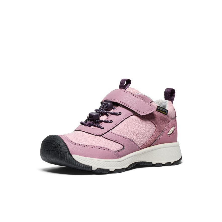 Zephyr/Plum Perfect