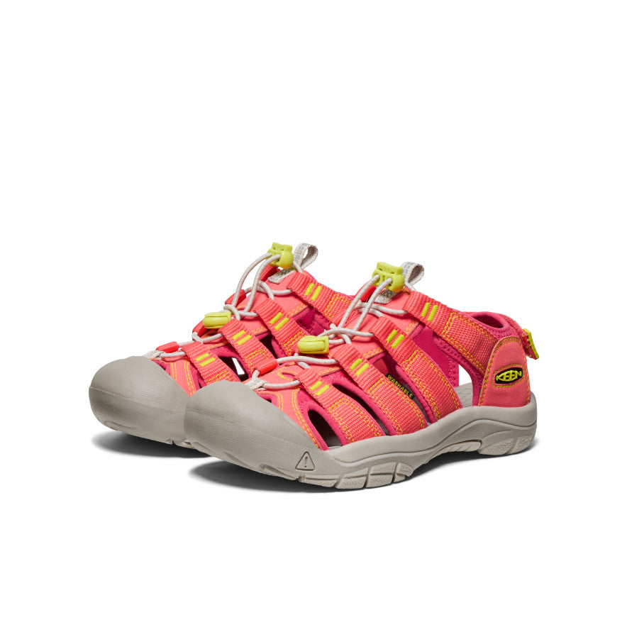 Dubarry/Evening Primrose