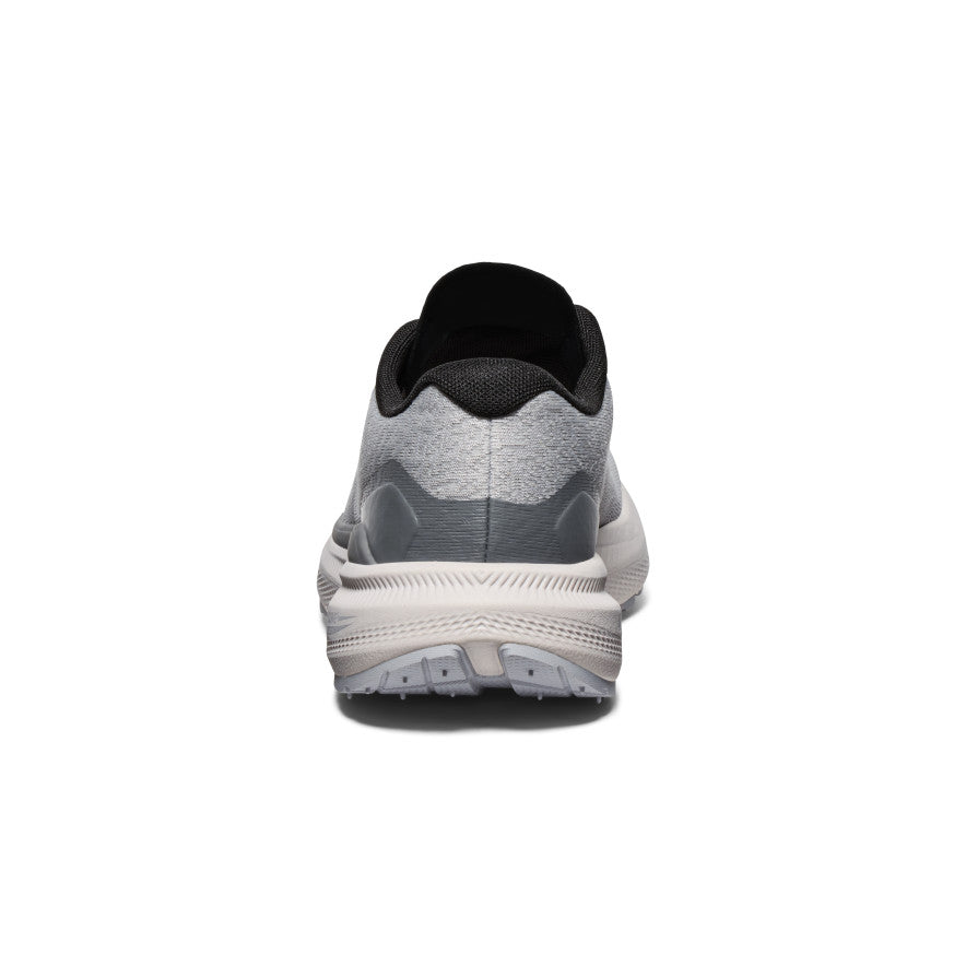Alloy/Steel Grey